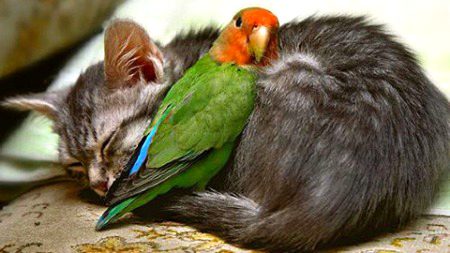 Beautiful Nature image