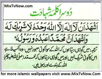 Islamic Quotes image
