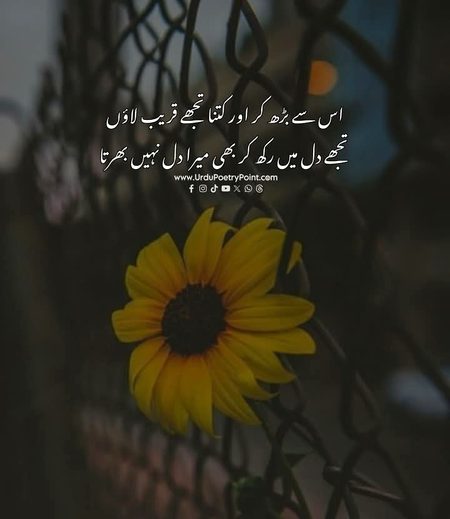 Romantic Poetry image
