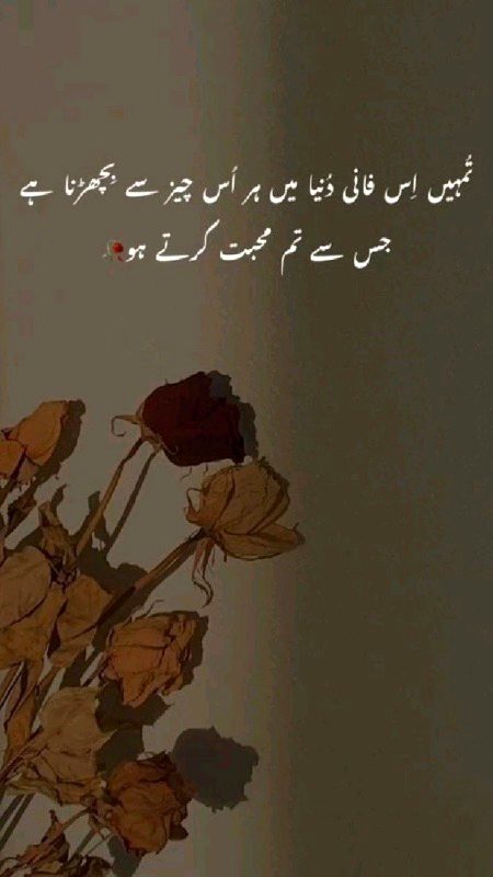 Life Advice image