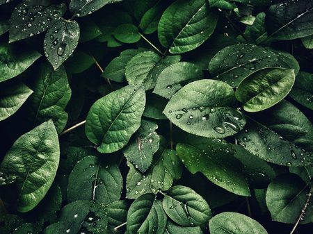 Beautiful Nature image