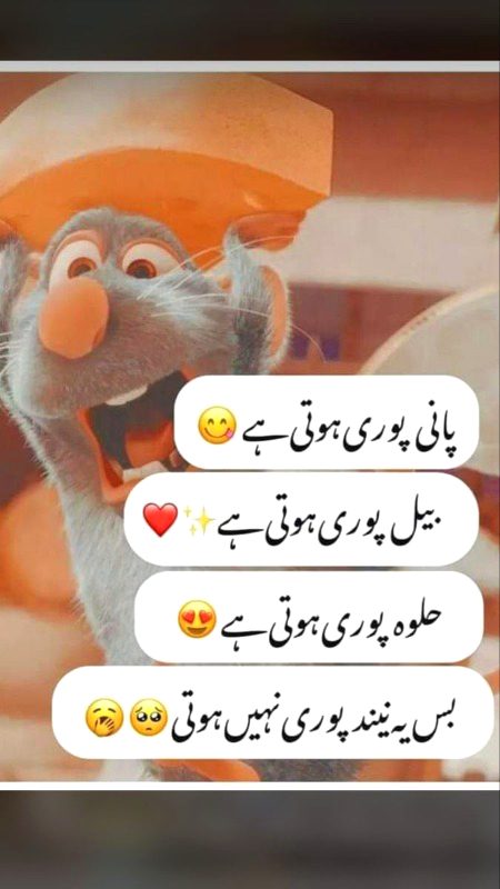 Memes & Satire image