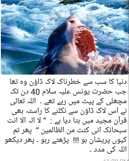 Islamic Quotes image