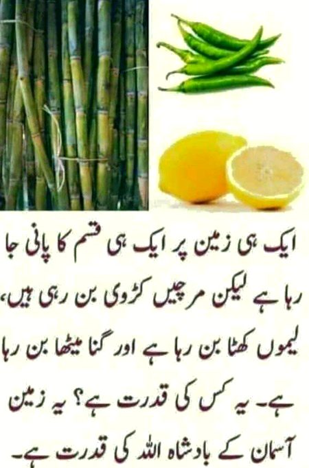 Interesting Posts image