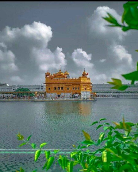 Beautiful Nature image