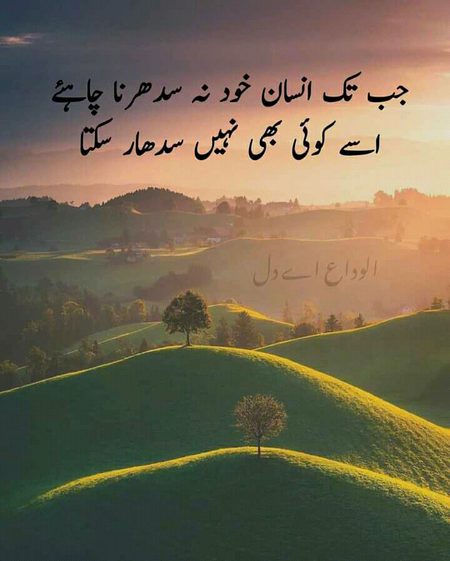 Social media post