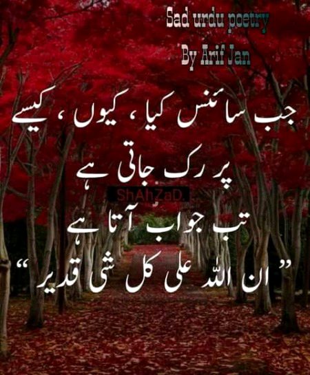 Islamic Quotes image