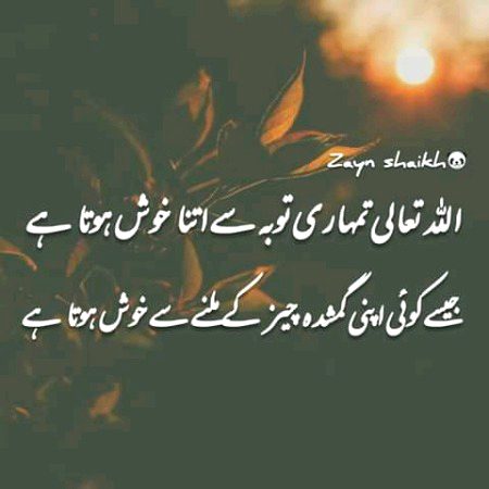 Islamic Quotes image