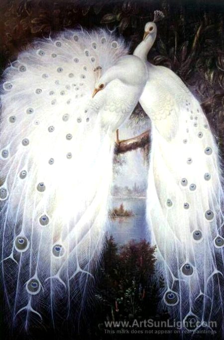 Beautiful Nature image