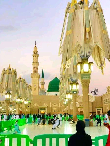 Beautiful Structures image