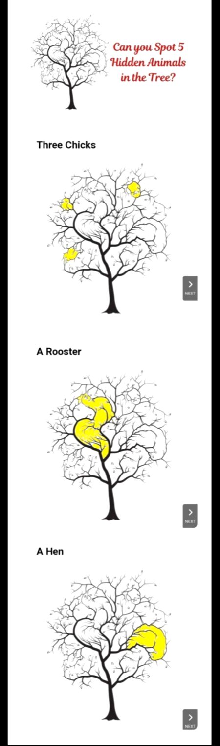 Memes & Satire image