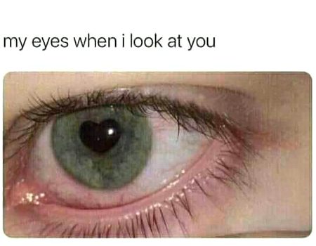 Memes & Satire image