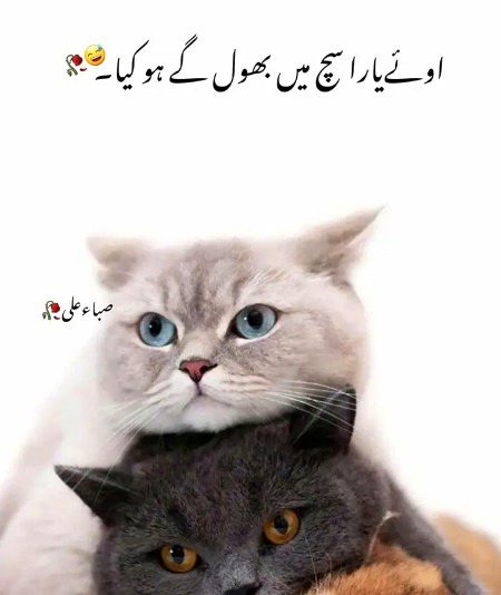 Jokes image