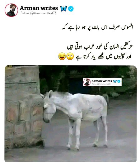 Memes & Satire image