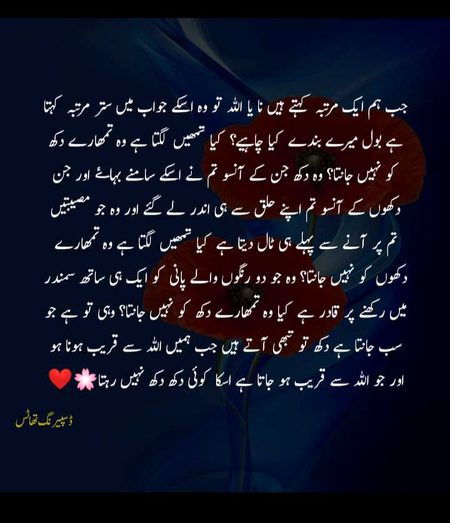 Islamic Quotes image