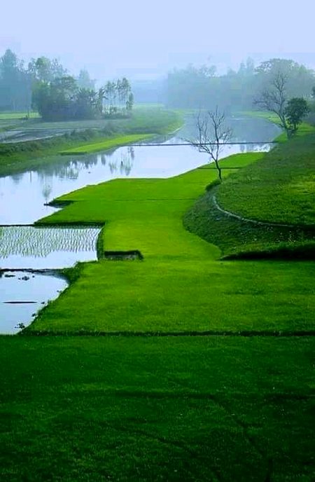 Beautiful Nature image
