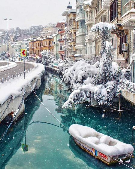 Beautiful Nature image