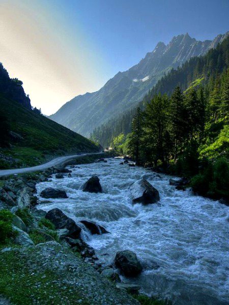 Beautiful Nature image