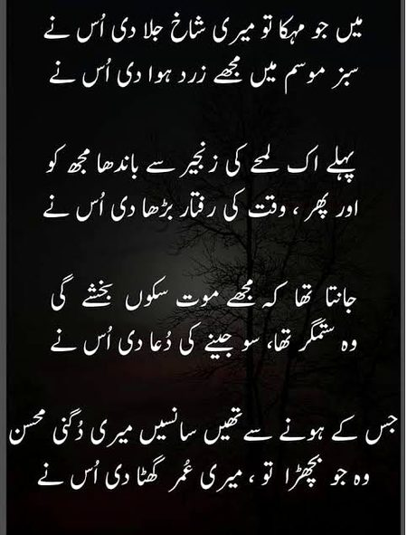 Sad Poetry image