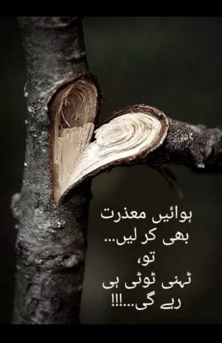 Sad Poetry image