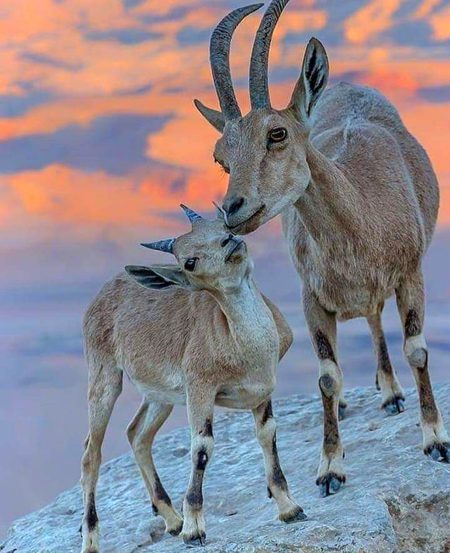 Beautiful Nature image