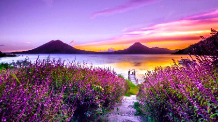 Beautiful Nature image