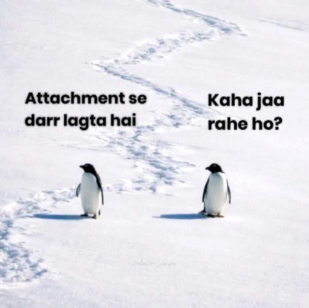 Memes & Satire image