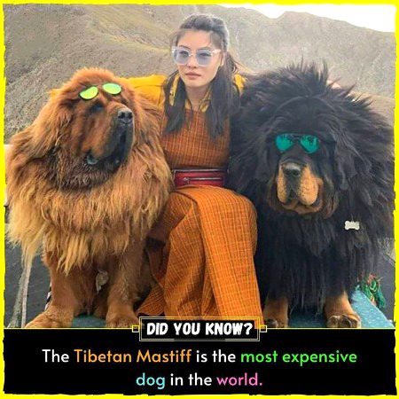 Interesting Posts image