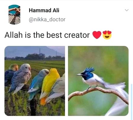 Beautiful Nature image