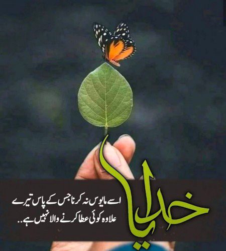 Islamic Quotes image