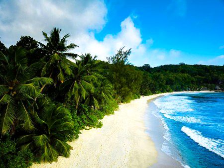 Beautiful Nature image