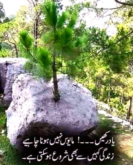 Motivational Quotes image