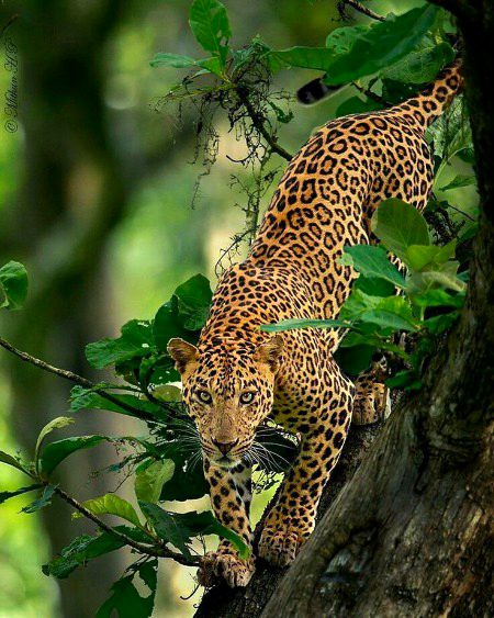 Beautiful Nature image