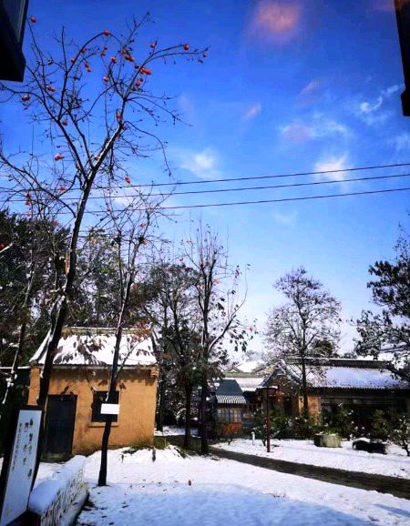 Beautiful Nature image