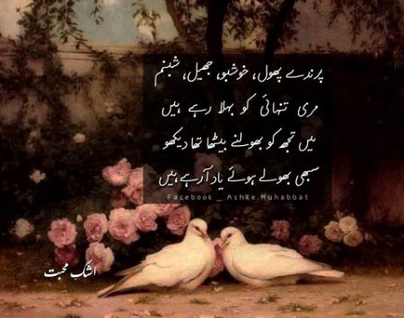 Sad Poetry image