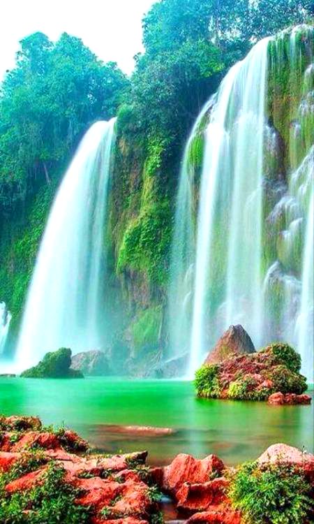 Beautiful Nature image
