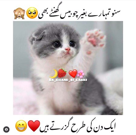 Jokes image