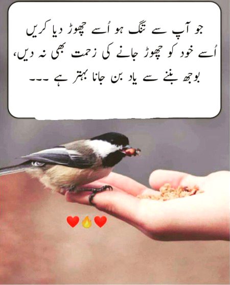 Life Advice image