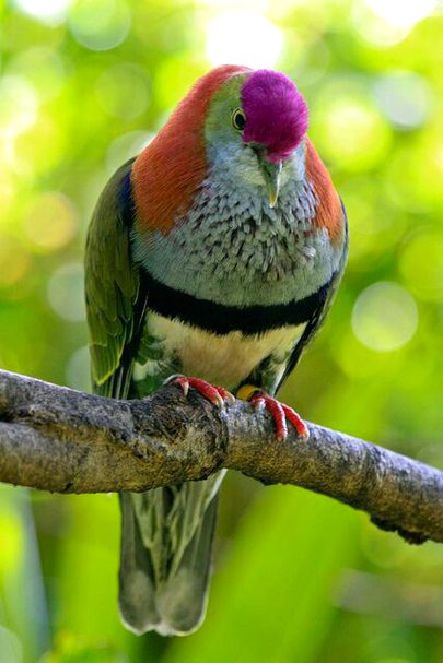 Beautiful Nature image