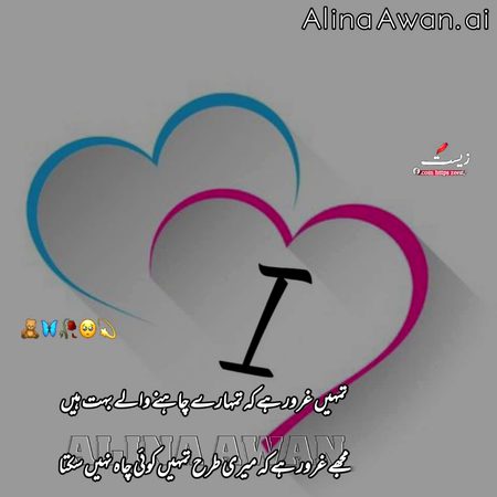 Attitude Quotes image