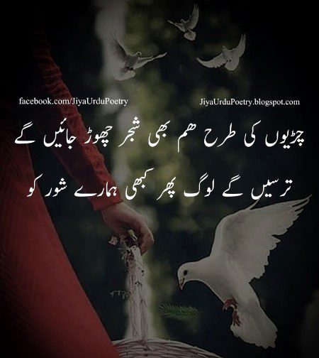 Sad Poetry image