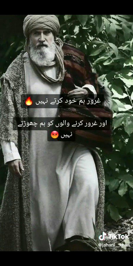 Attitude Quotes image