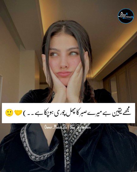 Memes & Satire image