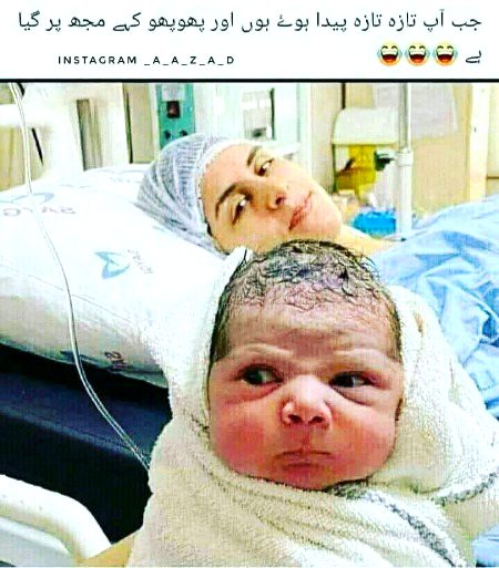 Memes & Satire image