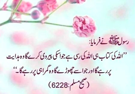 Islamic Quotes image