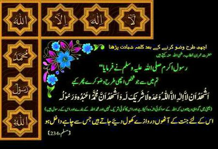 Islamic Quotes image