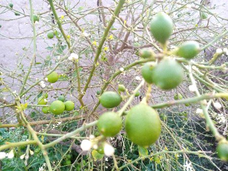Beautiful Nature image