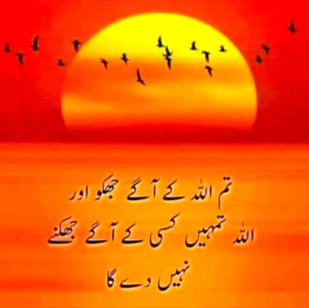 Islamic Quotes image