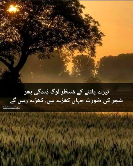 Sad Poetry image