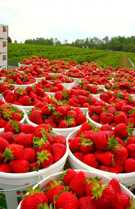 Beautiful Nature image